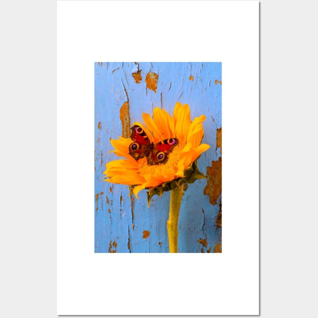Butterfly Resting On Sunflower With Blue Wall Wall Art by photogarry